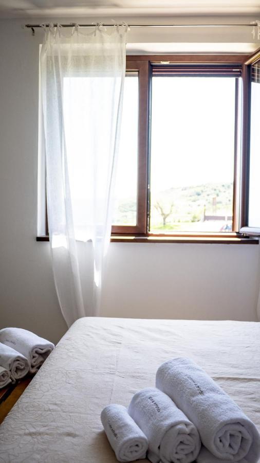 Casale Adriatico B&B 皮内托 外观 照片